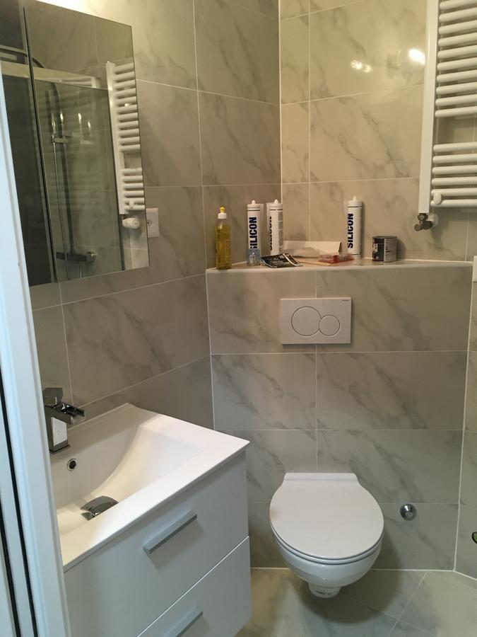 Residence De Luxe Tout Confort Genève Eksteriør billede