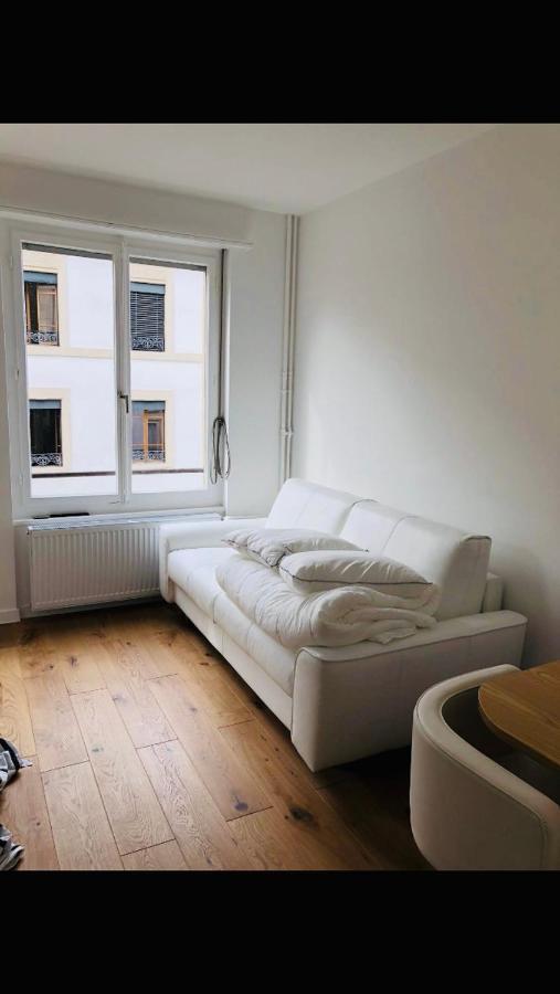 Residence De Luxe Tout Confort Genève Eksteriør billede